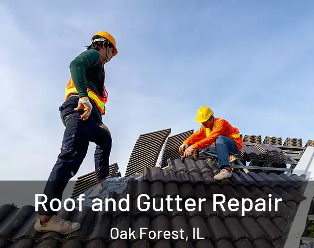  Roof and Gutter Repair Oak Forest, IL