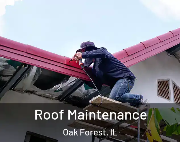  Roof Maintenance Oak Forest, IL