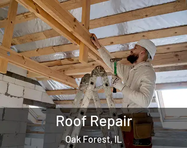  Roof Repair Oak Forest, IL